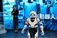 还有能语音交互会跳舞的小型人形机械人“悟空